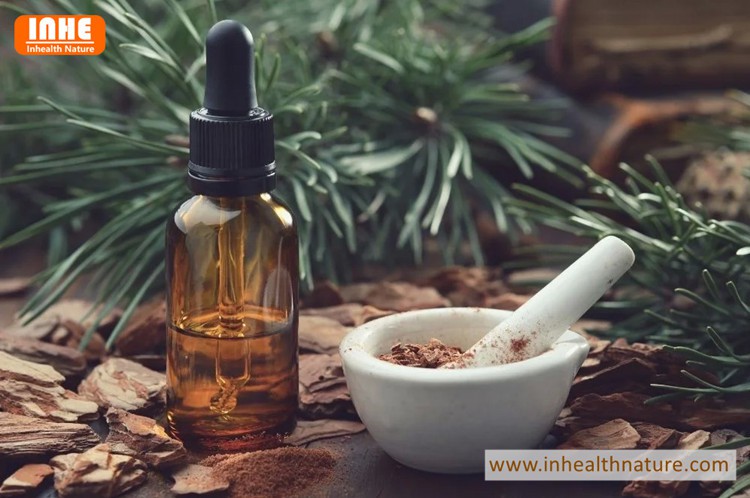 Pine Bark Extract 95% OPC-1
