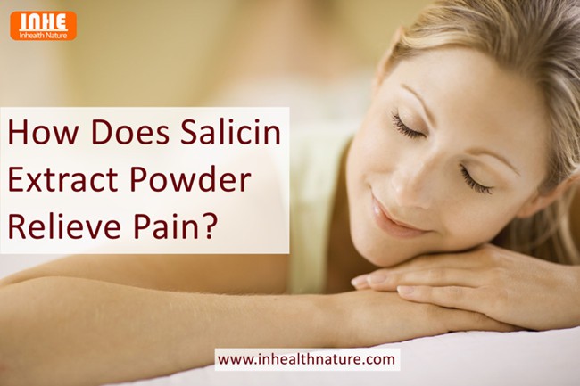 How Does Salicin Extract Powder Relieve Pain