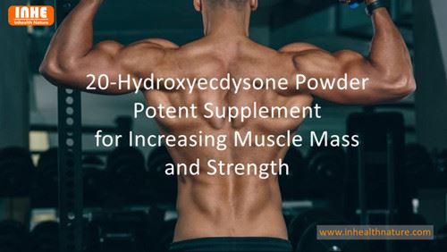 Hva er forskjellen mellom Ecdysterone og Turkesterone?