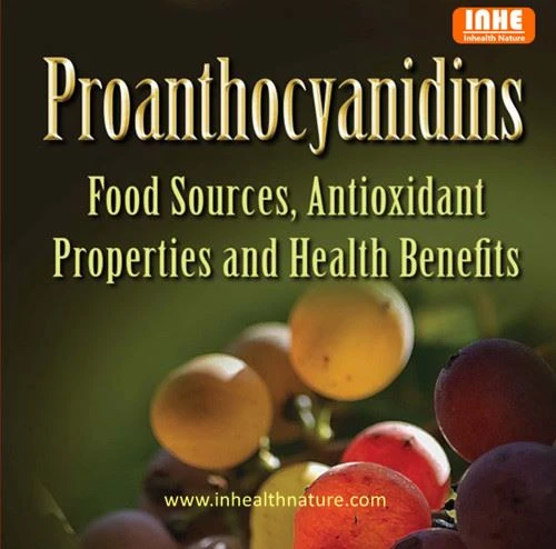 Hvorfor bør du ta Proanthocyanidin (PAC) supplement?