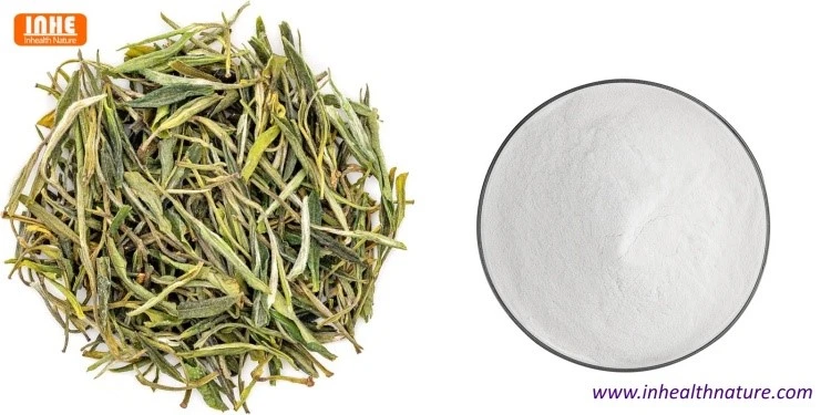 Green Tea and EGCG Powder